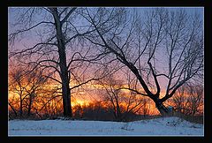 фото "burning sky"