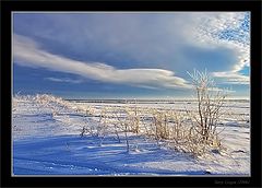 фото "Геометрия зимы"