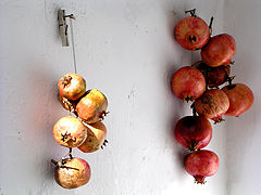 photo "Pomegranates and clothes-pin"