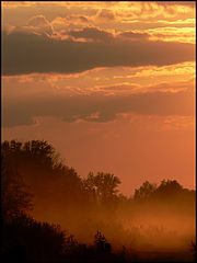 photo "***"