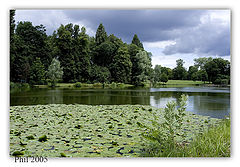 фото "storm will come"