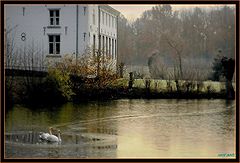 фото "winter rest"