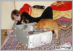 photo "Russian Upgrade"