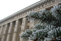 photo "Winter. My university."