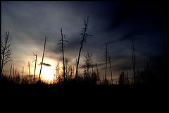 фото "после пожара"