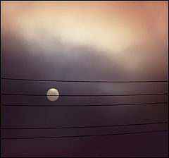 photo "Autumn melody"