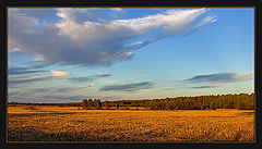 фото "Русское поле"