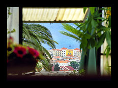 photo "Last summer"