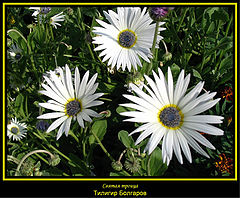 photo "Sacred Trinity."