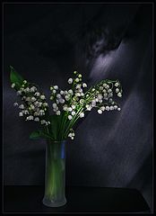 photo "***"