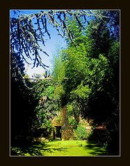 photo "***"