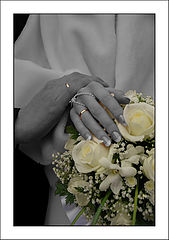 photo "Love Harmony"