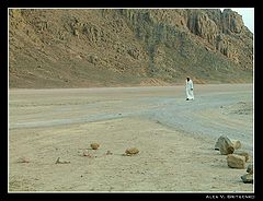 фото "Путник / The traveller"
