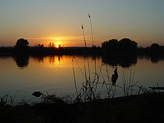 photo "***"