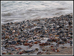 photo "TEXTURAS"