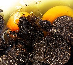 фото "tuber melanosporum omelette"