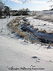фото "River"