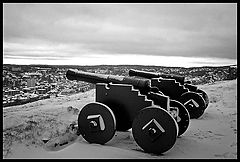 photo "Guardians"