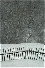 фото "winter tales 2"