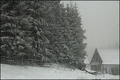 фото "winter tales 3"