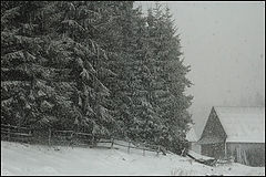 photo "winter tales 3"