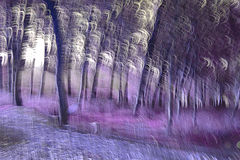 photo "***"
