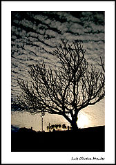 photo "***"
