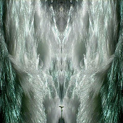 photo "***"