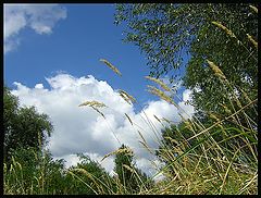 photo "Indian summer"