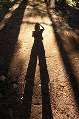 photo "In the world of shadows..."