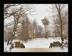 фото "Зима в старом парке"