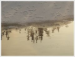 фото "Свет на снегу и отражение травы"
