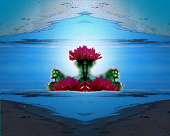 photo "***"