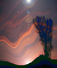 photo "***"