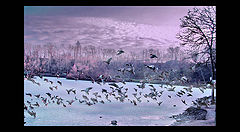 photo "==="