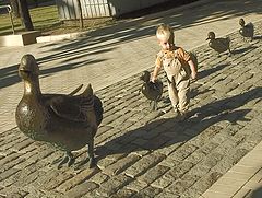 photo "Ducklings"