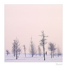 фото "В лесу"