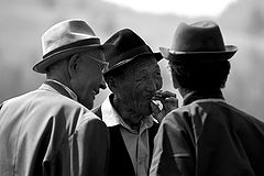 photo "Talking..."