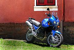 фото "my tiger"