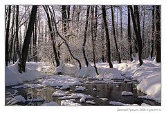 photo "Winter Landscape"