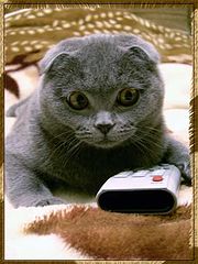 photo "On the TV even to look there is nothing!"