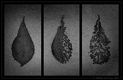 photo "Continuum"