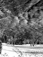 photo "Winter"
