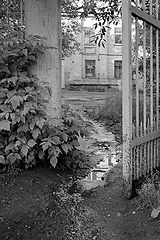 photo "* * *"