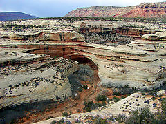 фото "Natural Bridges Utah"
