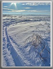 photo "Sun and Frosty #2"