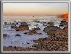 photo "Winter gulf #4"