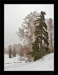 photo "Winter park #2"
