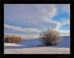 photo "Snow sky #2"