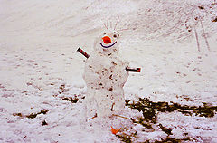 photo "King of the snow"